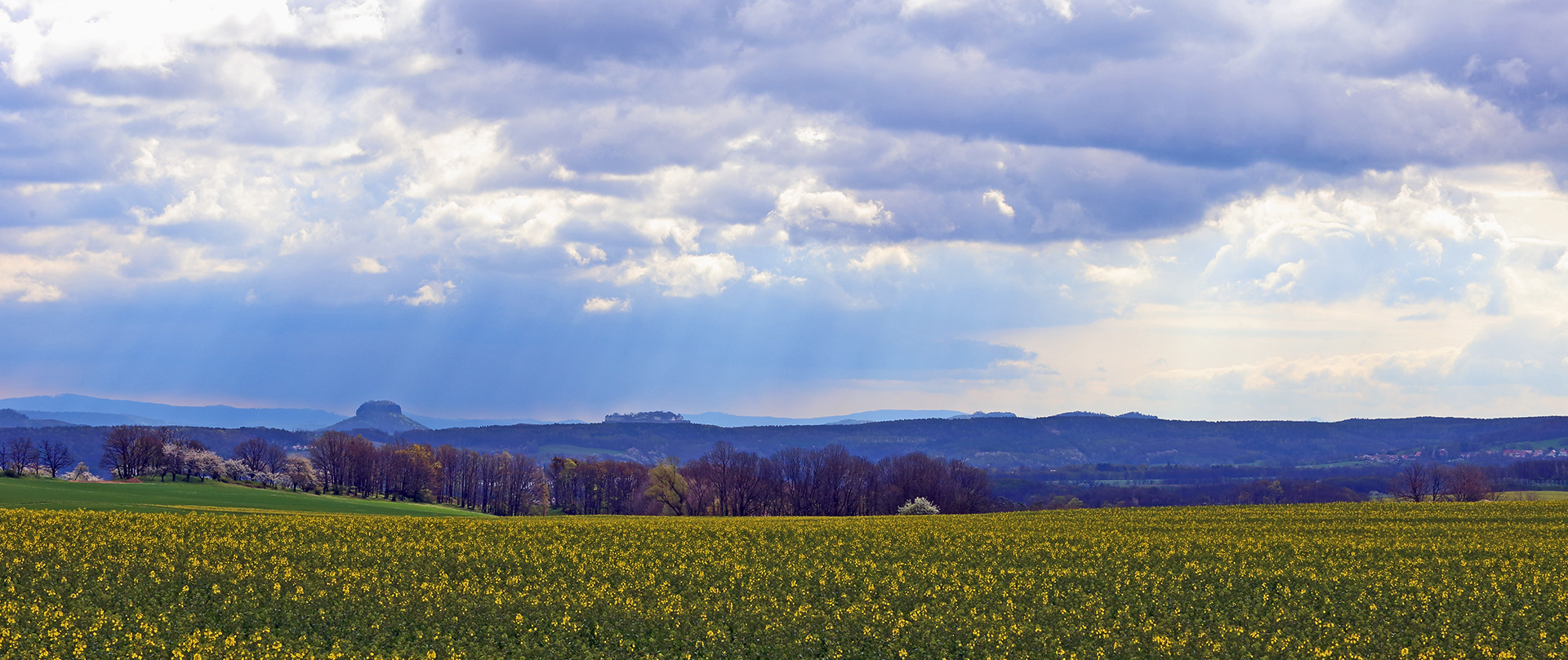 Frühling, Raps, Sächsische Schweiz und "schräges Licht "...