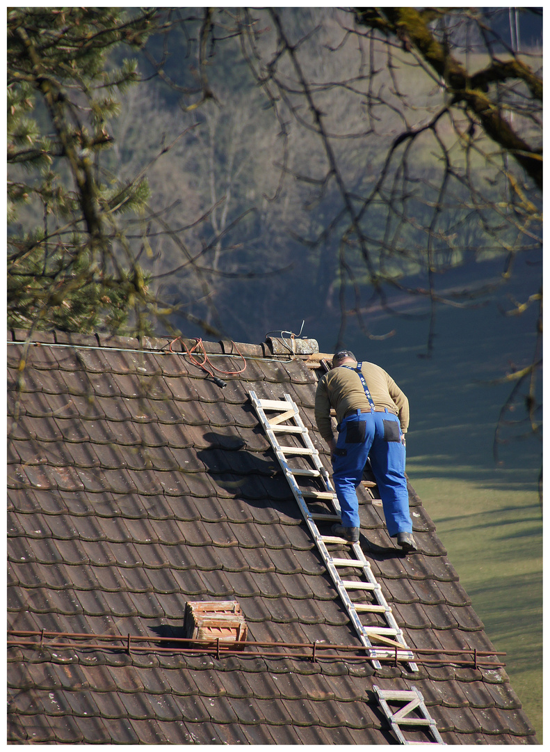 Frühling = Schäden ausbessern