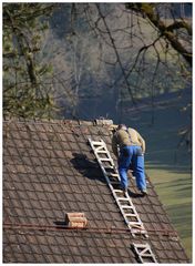 Frühling = Schäden ausbessern