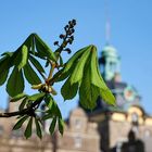 Frühling Schloß Bückeburg