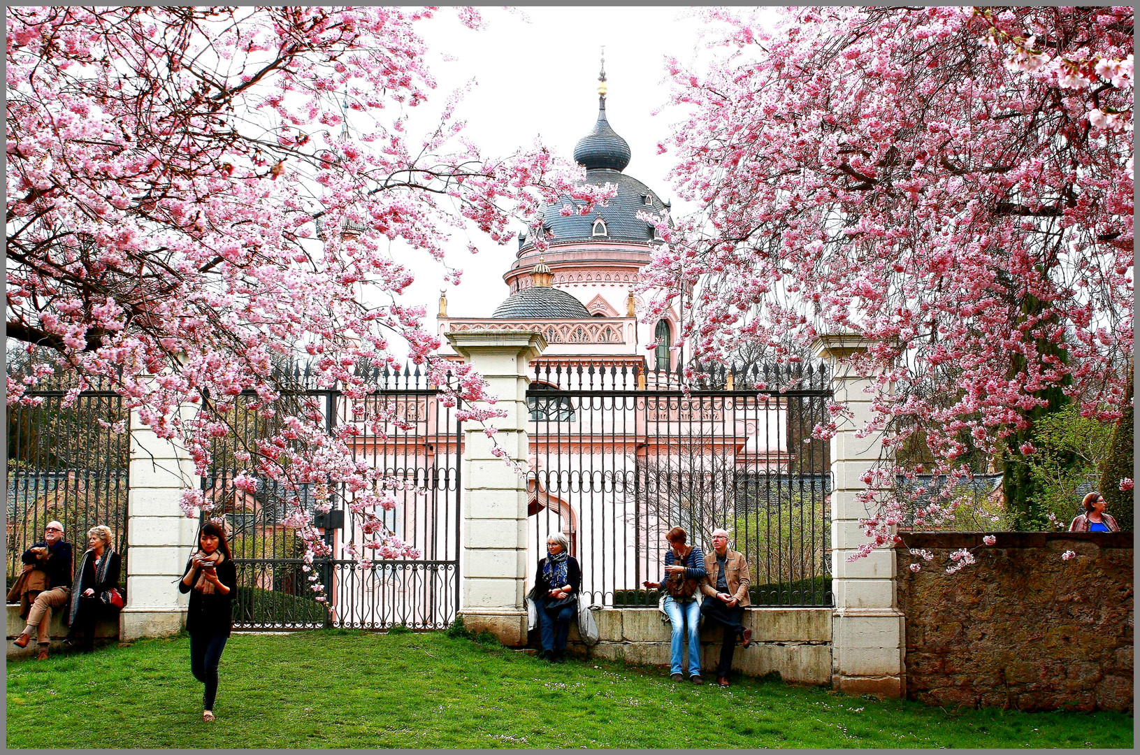 Frühling Schloss Schwetzingen 2