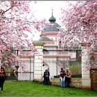 Frühling Schloss Schwetzingen 2