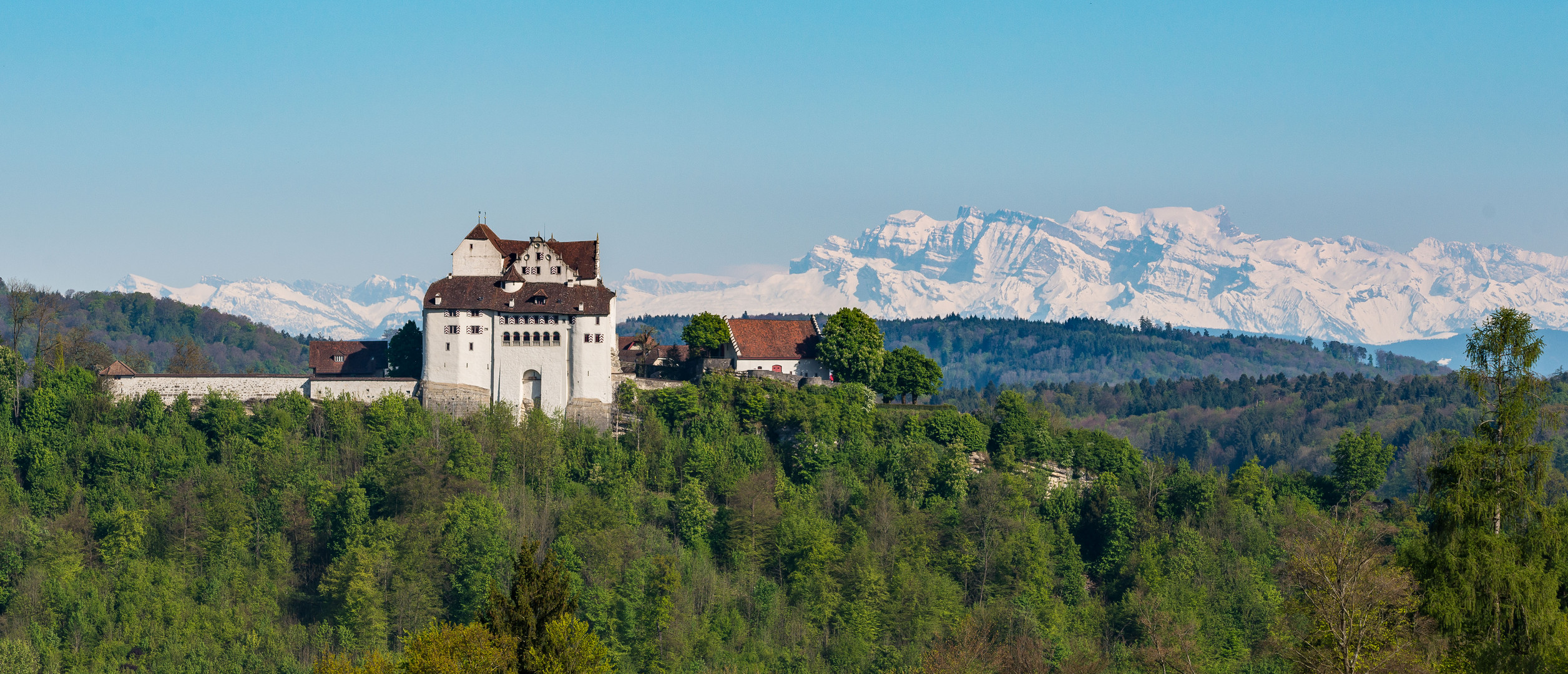 Frühling Schloss Wildegg 