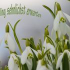 Frühling sehnlichst erwartet