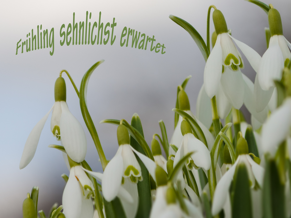 Frühling sehnlichst erwartet