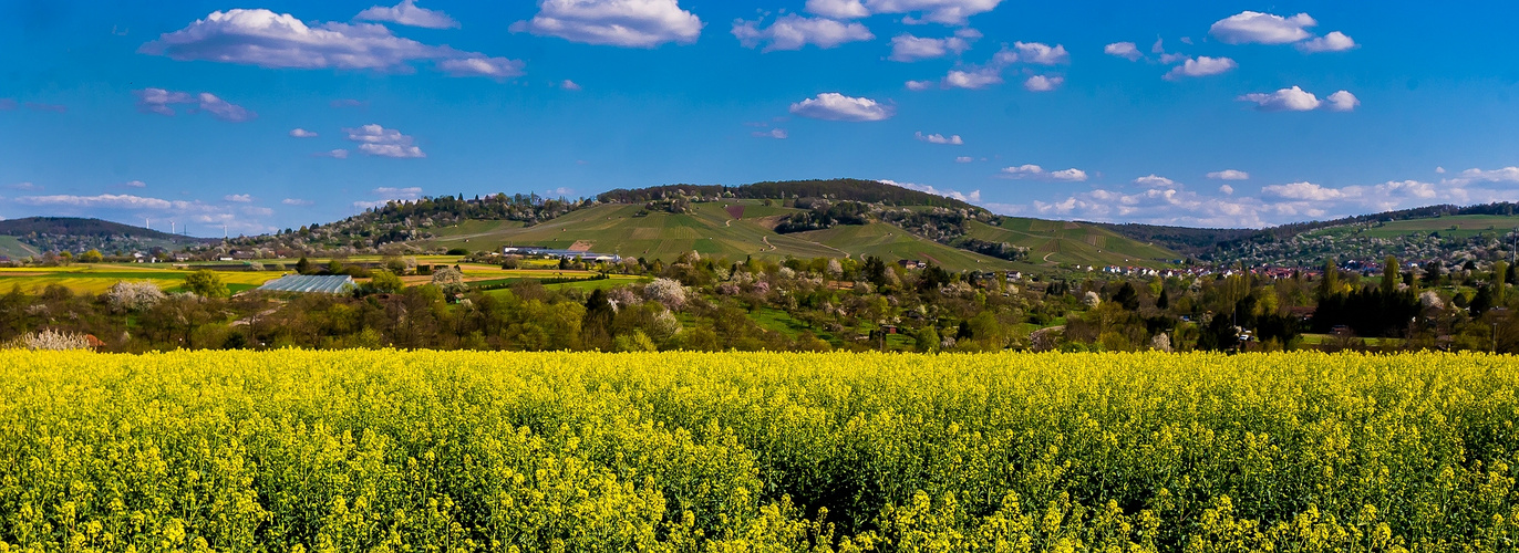 Frühling so lieblich