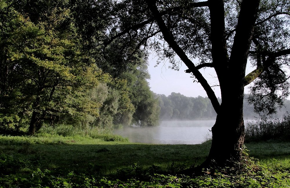 Frühling, Sommer durch ...