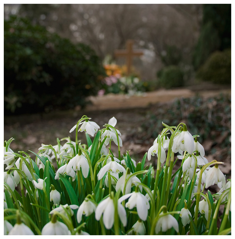 Frühling, Sommer, Herbst und Tod