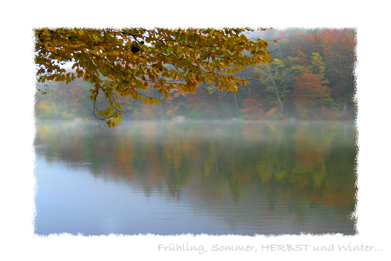 Frühling, Sommer, HERBST und Winter... °V