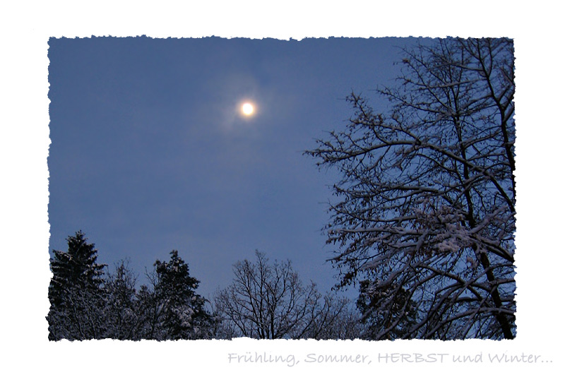 Frühling, Sommer, HERBST und Winter... ° XV