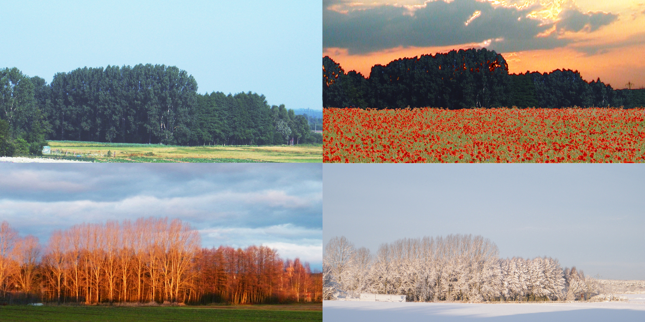 Frühling, Sommer, Herbst, Winter