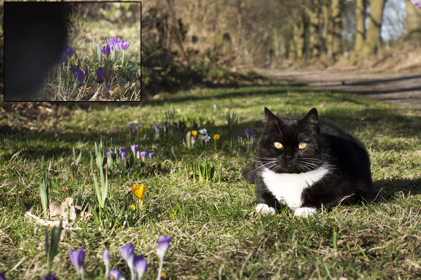 Frühling, Sonne endlich