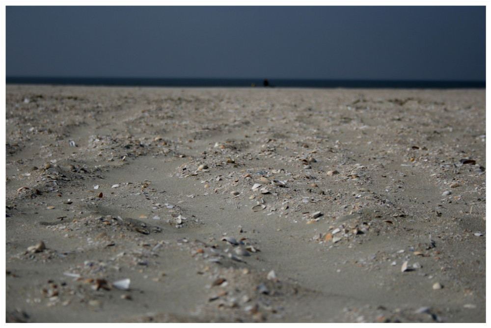 Frühling, Sonne, Strand und Meer