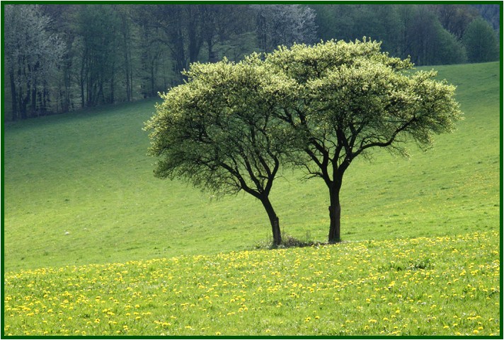 Frühling, Sonne und noch mehr ...