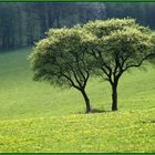 Frühling, Sonne und noch mehr ...