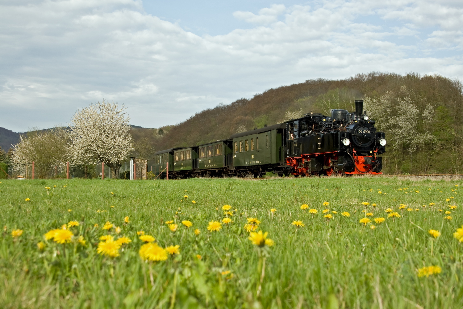 Frühling soweit das Auge reicht.