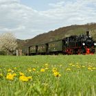 Frühling soweit das Auge reicht.