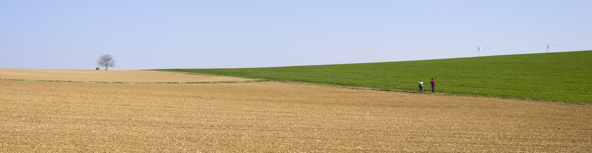 Frühling _ Spaziergang 