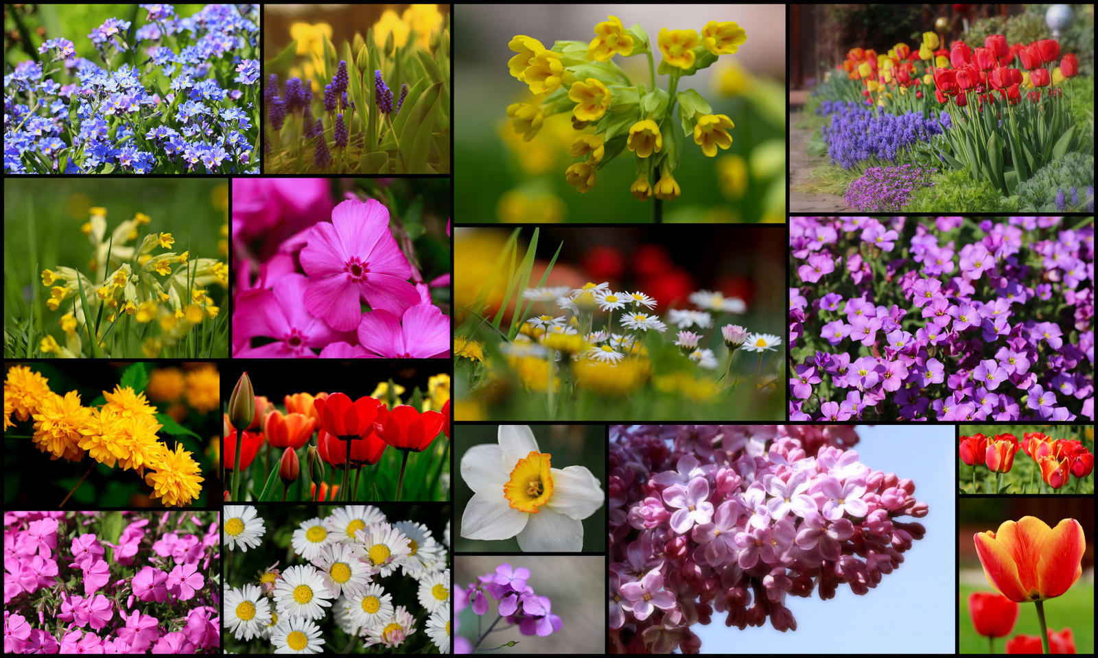 Frühling-spring-tavasz-printemps--jar -lente-primavera-bahar