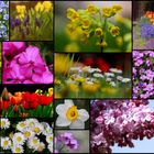 Frühling-spring-tavasz-printemps--jar -lente-primavera-bahar