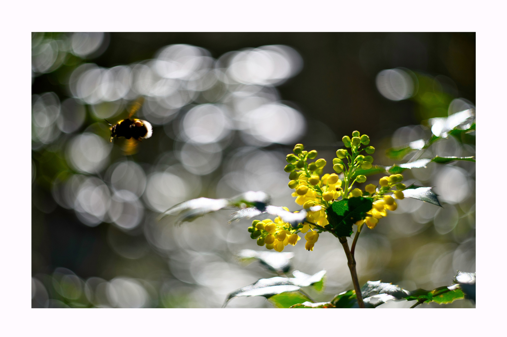 Frühling startet durch