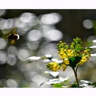 Frühling startet durch