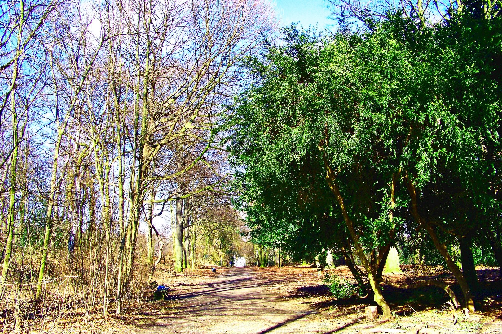 Fruehling steht gegen Winter