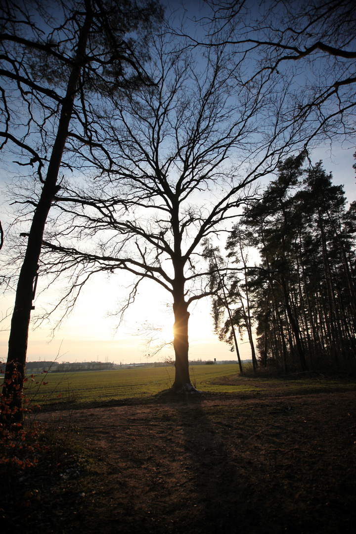 Frühling steht vor der Tür