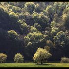 Frühling steigt herab... (Reload)