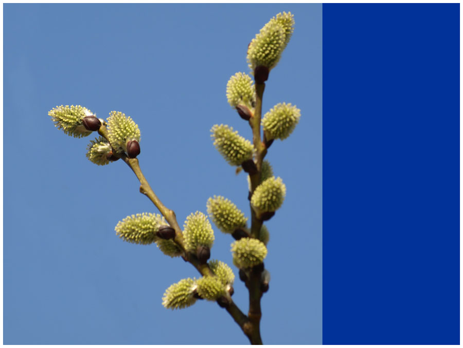 Frühling Teil 2