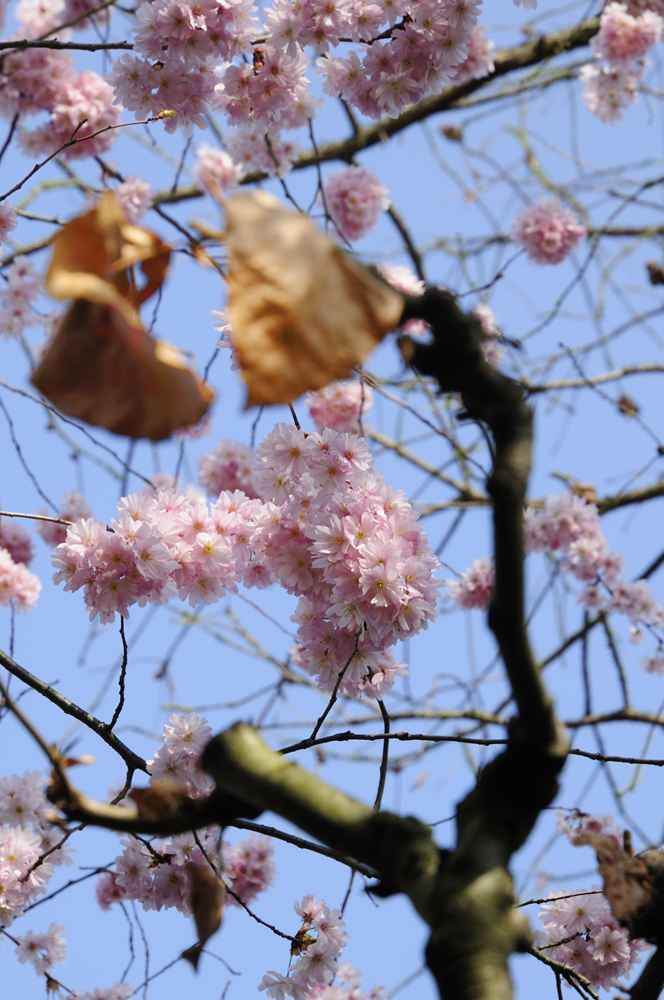 Frühling trifft Herbst