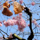 Frühling trifft Herbst