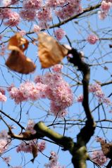 Frühling trifft Herbst