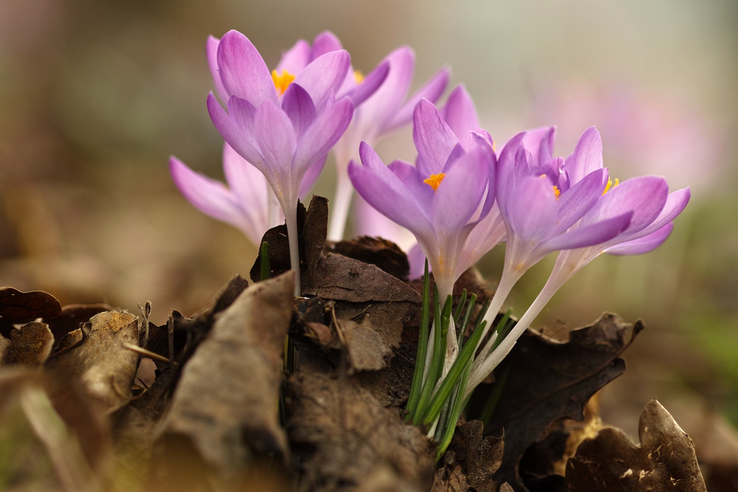 Frühling trifft Herbst