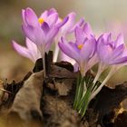 Frühling trifft Herbst