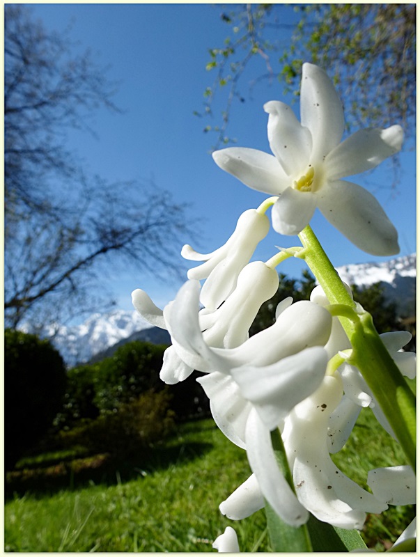 Frühling trifft Winter