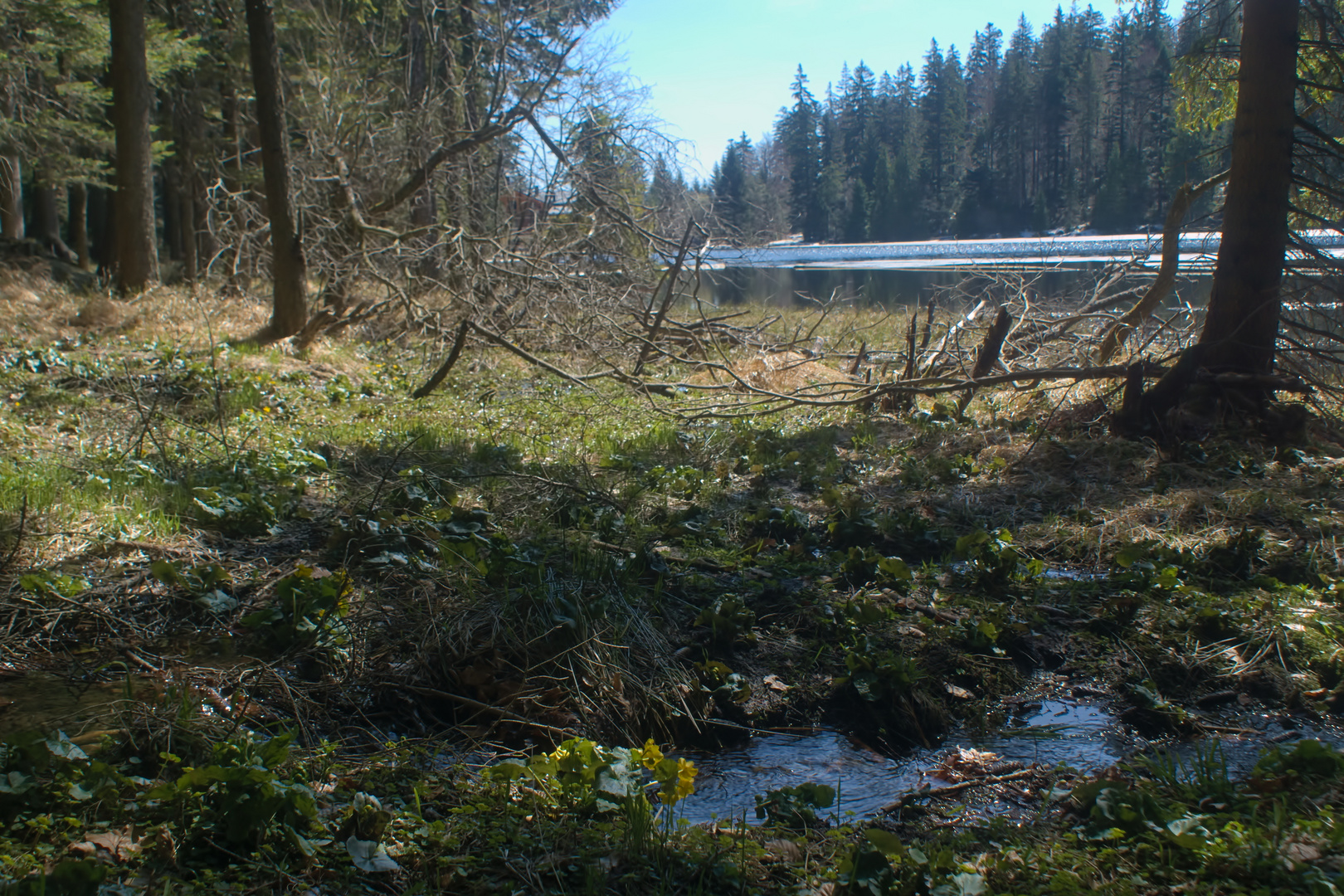 Frühling trifft Winter