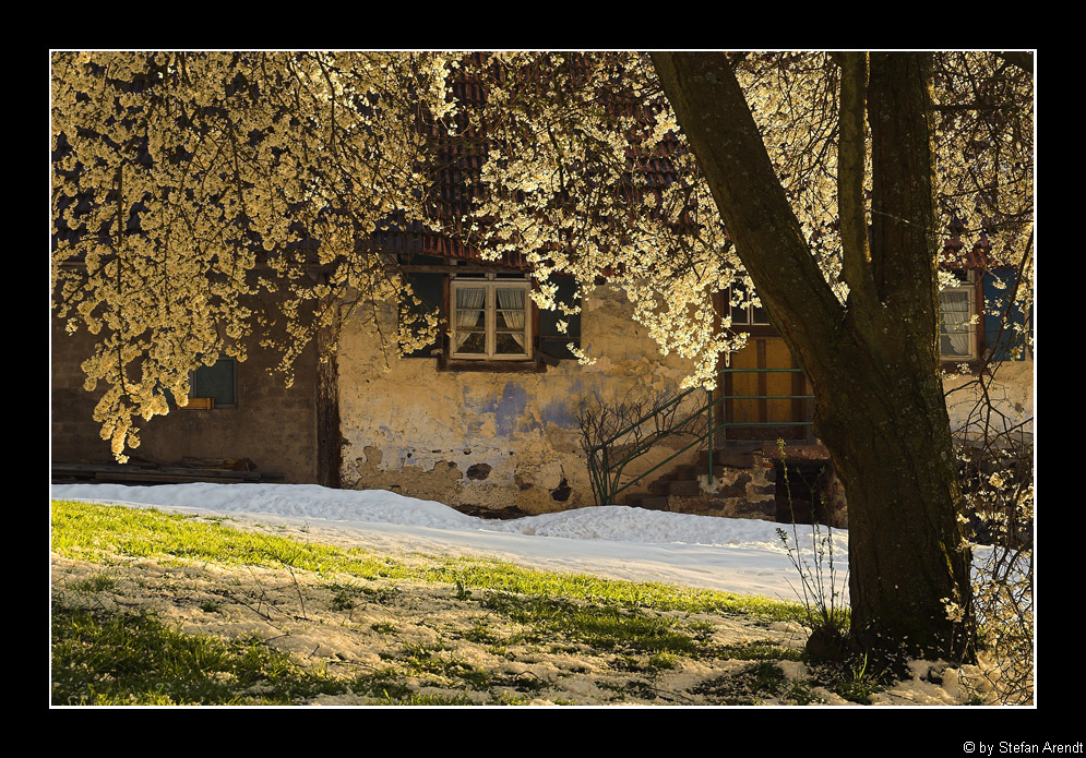 Frühling trifft Winter