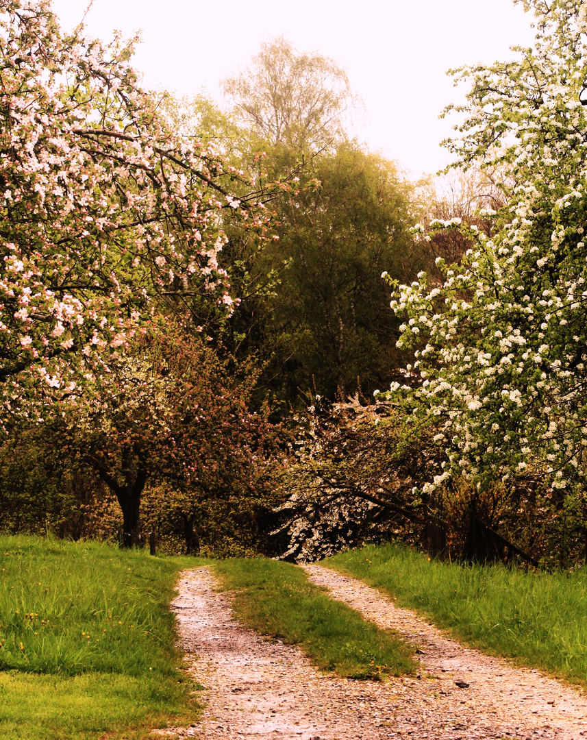 Frühling trotz Kälte