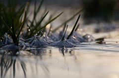 Frühling tut sich schwer