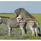 Frühling über Etosha