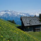 Frühling über Prätigau