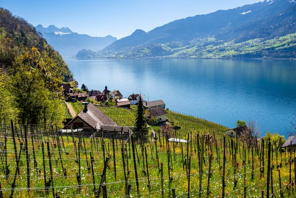 Frühling über Quinten