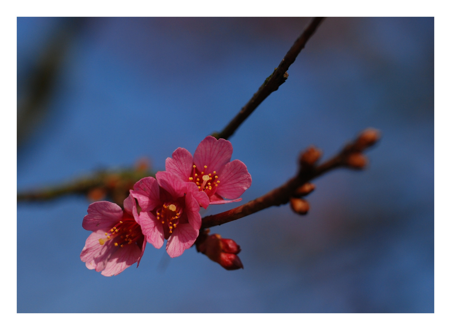 Frühling überall.