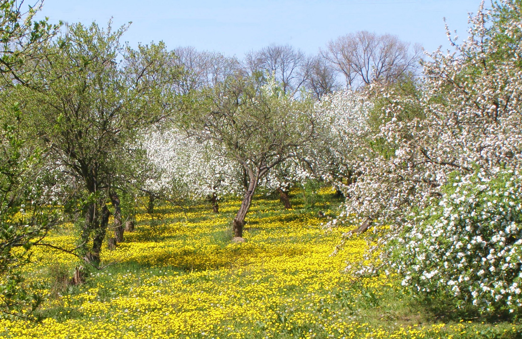 Frühling - überzeugend?