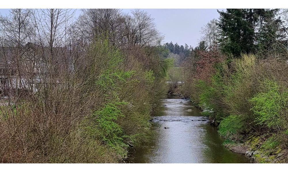 Frühling ums Haus an der Murg