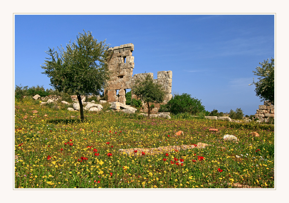 Frühling und Archeologie