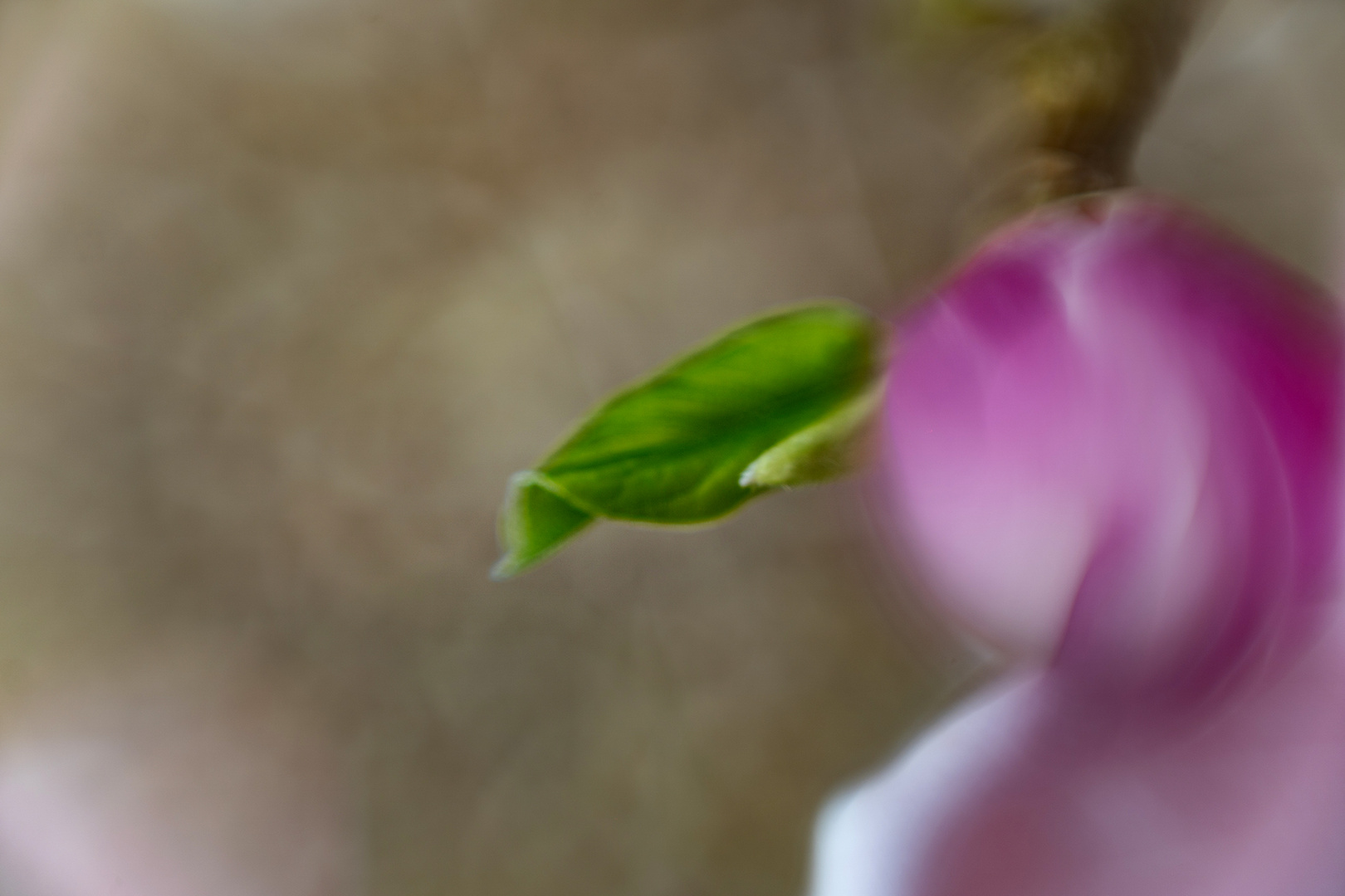 Frühling und Auferstehung.