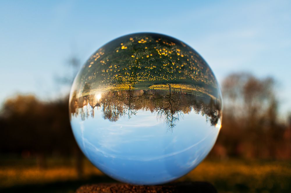 Frühling und die Welt steht auf dem Kopf