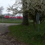 Frühling und die Wiederkehr der Schnecken